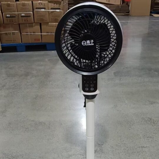Fan