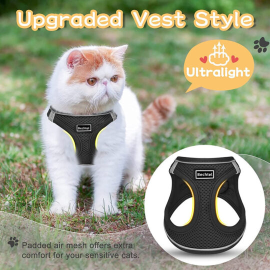 Pet Harness Vest Style Leash - Adjustable Breathable Dog Cat Harness with D-Ring for Walking Training